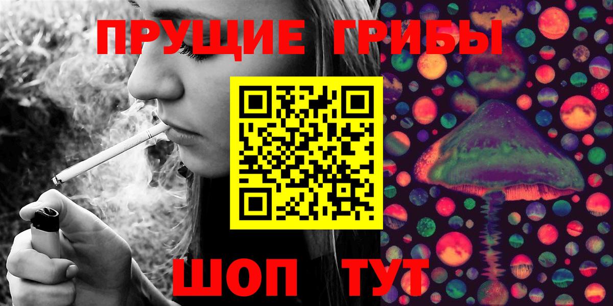 Галлюциногенные грибы Psilocybe  Псилоцибиновые грибы прущие грибы  Вход с VPN  Новокубанск 
