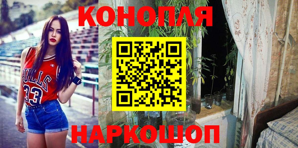 Конопля тримм Новокубанск
