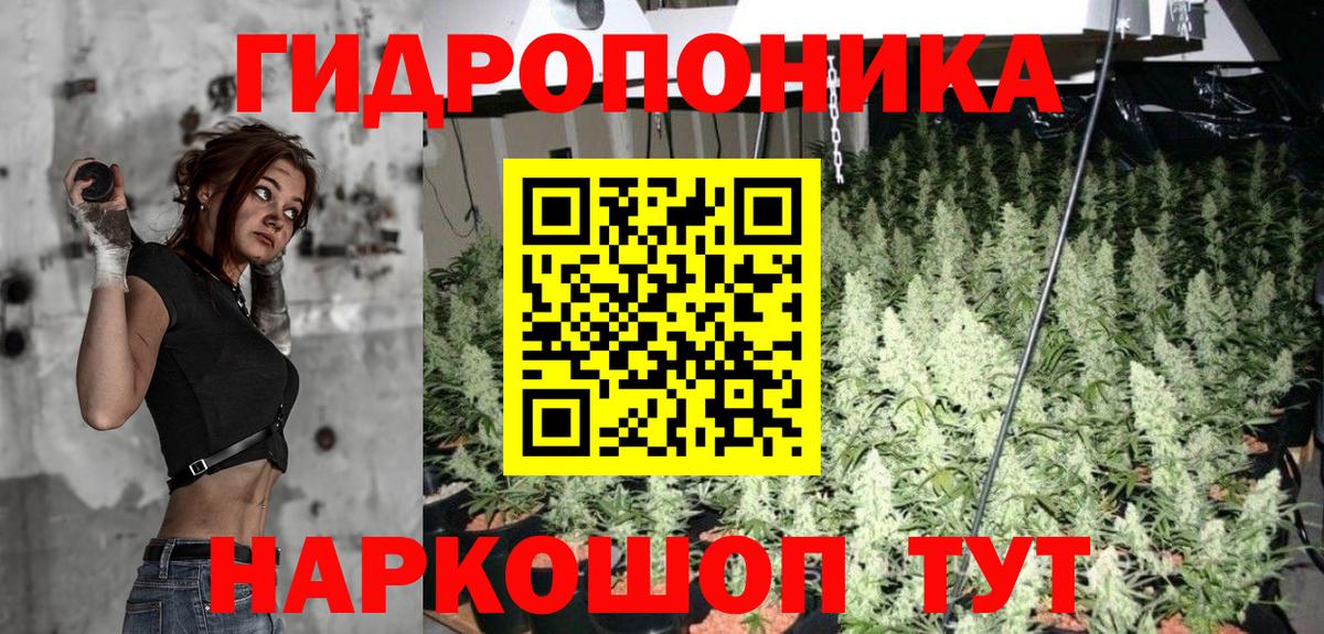 Каннабис планчик  Вход с VPN  Новокубанск  Шишки марихуана индика  Конопля гибрид 